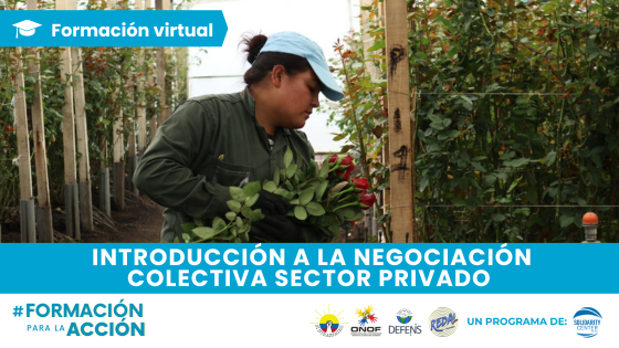 INTRODUCCIÓN A LA NEGOCIACIÓN COLECTIVA SECTOR PRIVADO - FLORES NCSP-FLORES